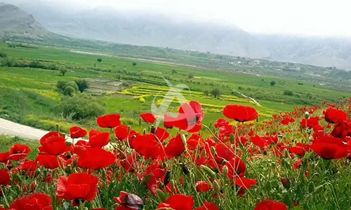 آبشار شیوند و دشت سوسن