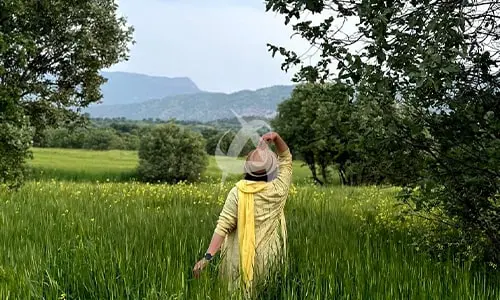 تنگه شیرز تا مخمل کوه		