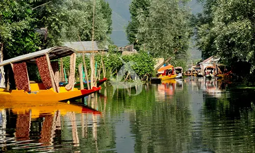 کشمیر