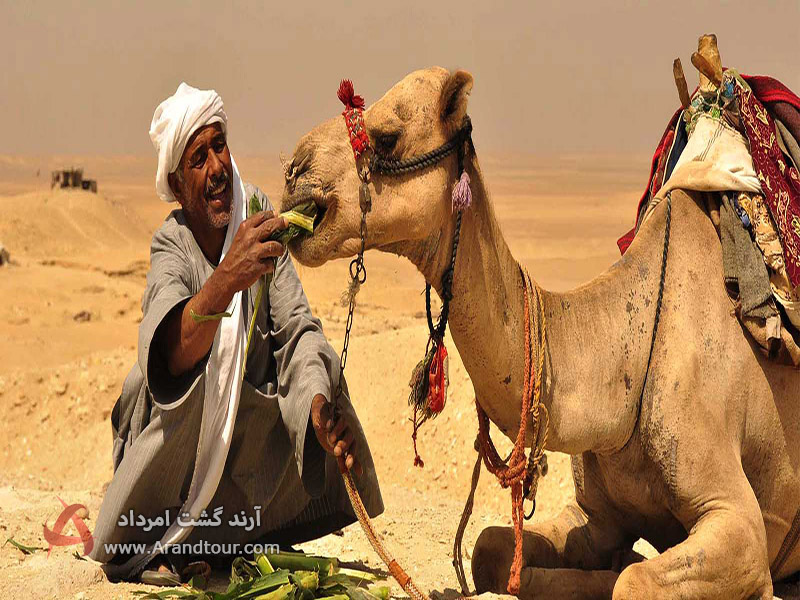 تور کویر مصر بهار 1404